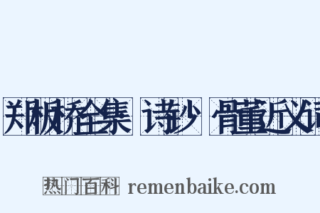 郑板桥全集·诗钞·骨董近义词是什么意思的图片